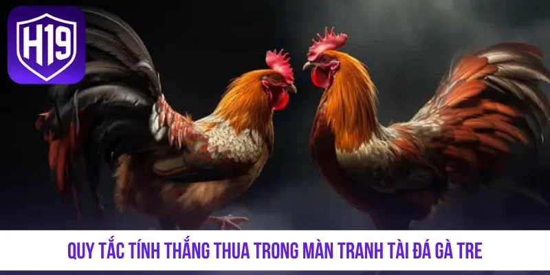 Quy tắc tính thắng thua trong màn tranh tài đá gà tre